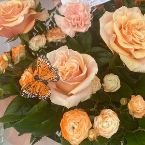 Meet your Posher, Gissel